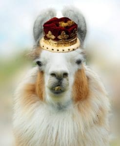 Como T Llama